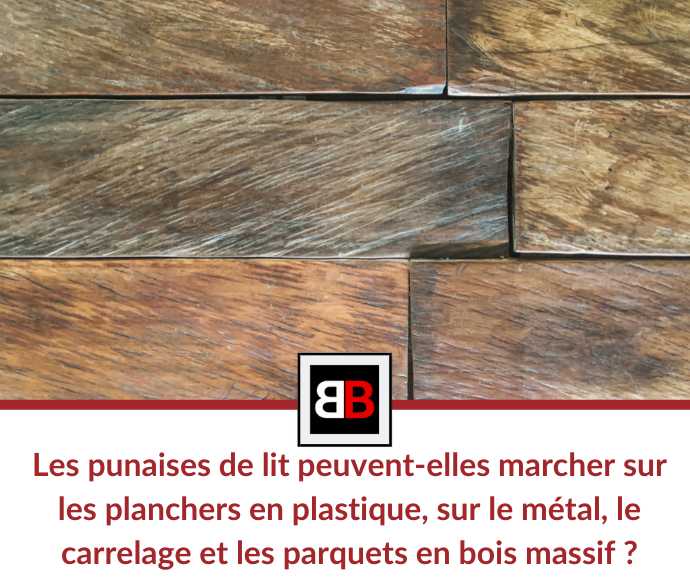Les punaises de lit peuvent-elles marcher sur les planchers en plastique, sur le métal, le carrelage et les parquets en bois massif ?