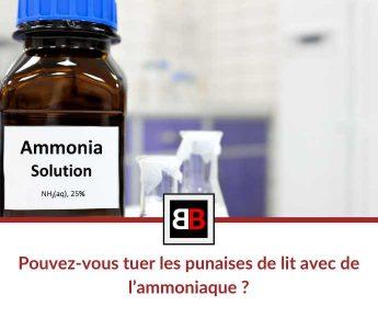 Pouvez-vous tuer les punaises de lit avec de l’ammoniaque ?