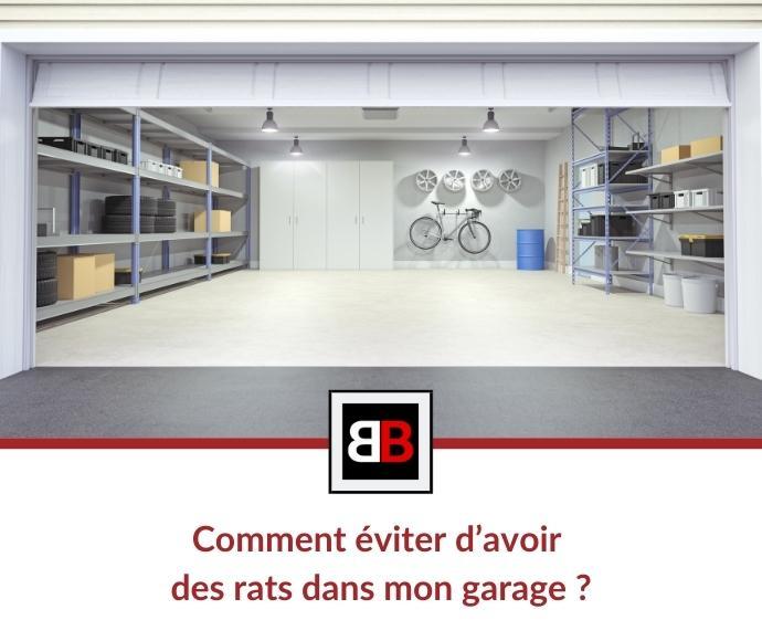 Comment éviter d’avoir des rats dans mon garage ?