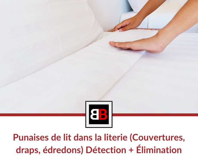 Punaises de lit dans la literie (Couvertures, draps, édredons)