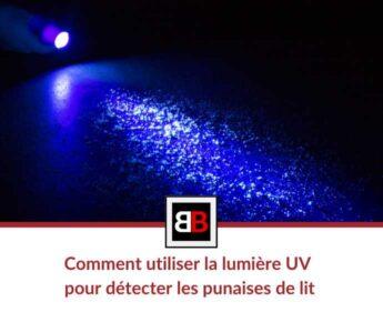 Comment utiliser la lumière UV pour détecter les punaises de lit