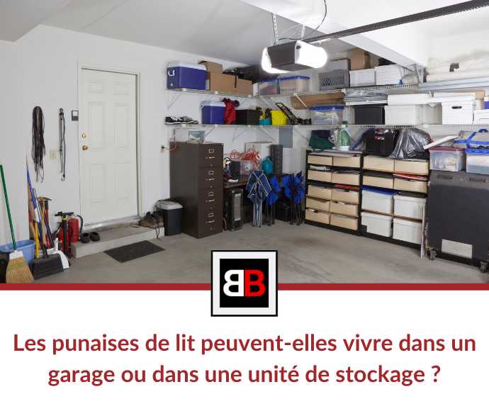 Les punaises de lit peuvent-elles vivre dans un garage ou dans une unité de stockage ?