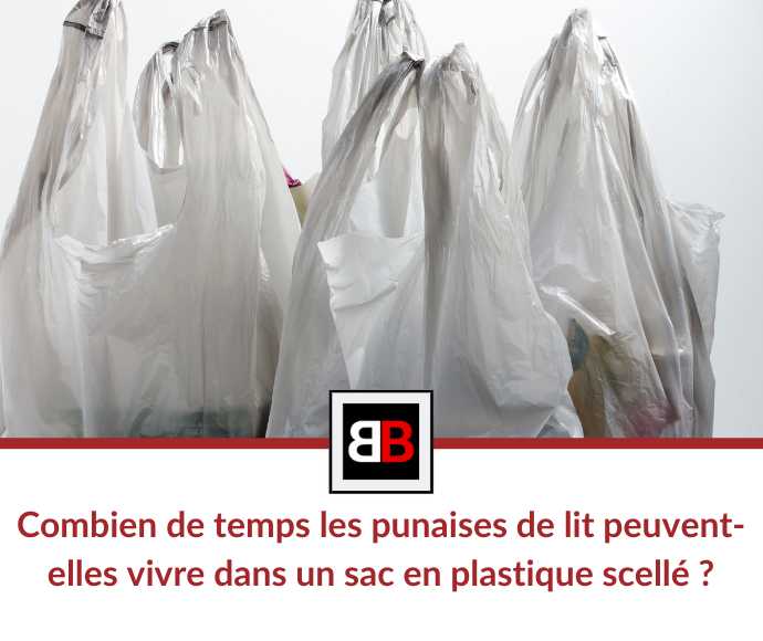 Combien de temps les punaises de lit peuvent-elles vivre dans un sac en plastique scellé ?