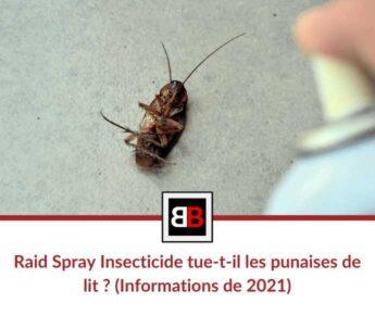 Raid Spray Insecticide tue-t-il les punaises de lit? (Informations de 2021)