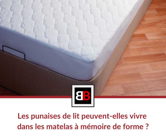 Les punaises de lit peuvent-elles vivre dans les matelas à mémoire de forme ?