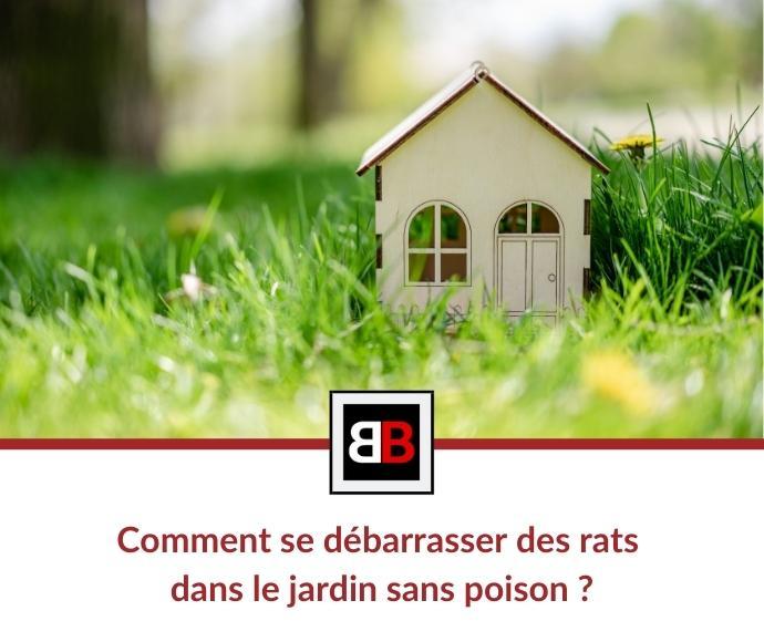 Comment se débarrasser des rats dans le jardin sans poison ?