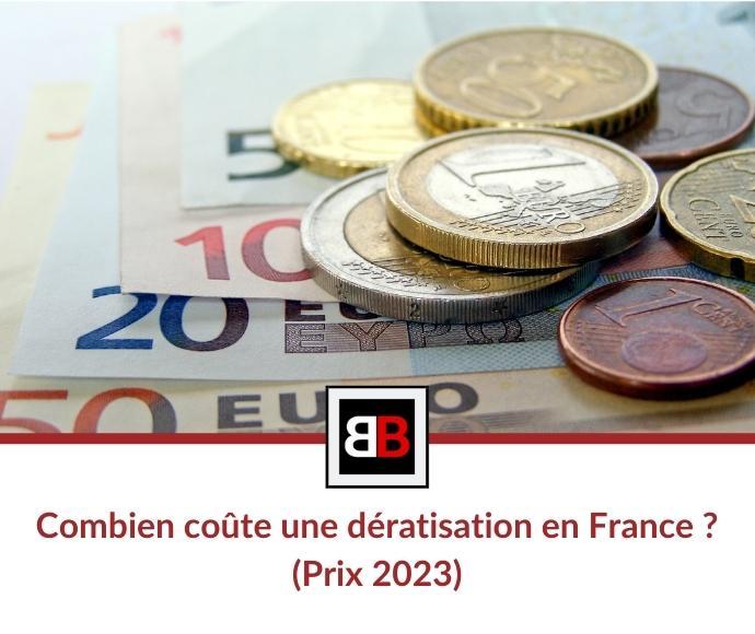 Combien coûte une dératisation en France ? (Prix 2023)