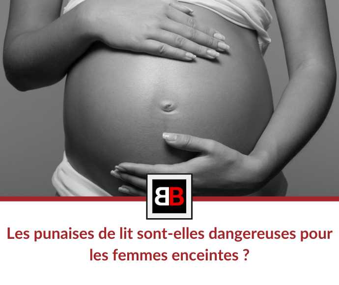 Punaises de lit : dangereuses pour bébés et femmes enceintes ?