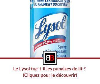 Le Lysol tue-t-il les punaises de lit ? (Cliquez pour le découvrir)