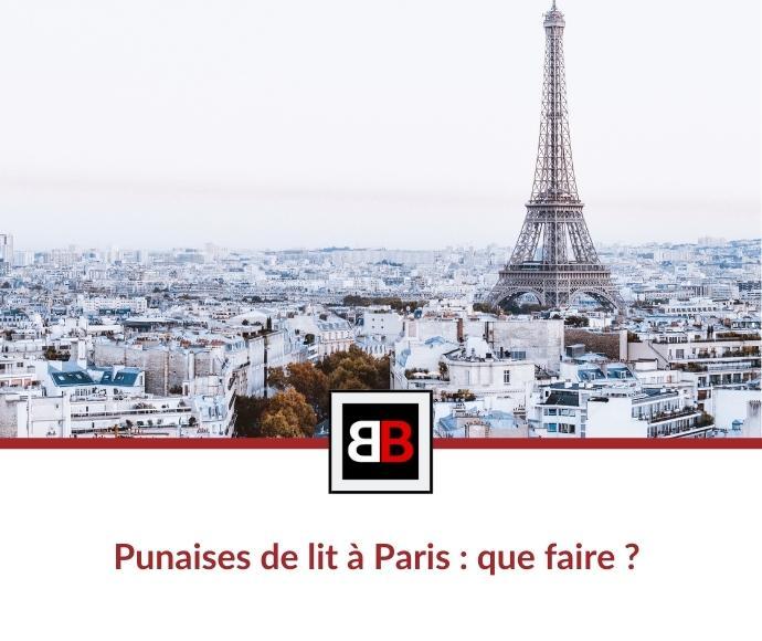 Punaises de lit à Paris : que faire ?